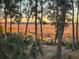 A serene marsh view can be seen through the tree line at 1002 Blockade Runner Ct, Charleston, SC 29414