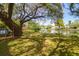 Lush backyard with a large shade tree and a serene lake, creating a peaceful and picturesque setting at 1006 Wayfarer Ln, Charleston, SC 29412