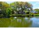 Picturesque view of a pond surrounded by trees and homes, creating a serene landscape at 1006 Wayfarer Ln, Charleston, SC 29412