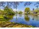 Scenic view of a tranquil pond with a rope swing, surrounded by lush greenery at 1006 Wayfarer Ln, Charleston, SC 29412