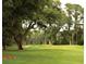 Lush green golf course featuring mature trees, a sand trap, and a distant golfer at 113 High Hammock Villas, Seabrook Island, SC 29455