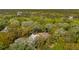 Aerial view showcasing properties surrounded by tall, mature trees, enhancing privacy and curb appeal at 1409 Lieben Rd, Mount Pleasant, SC 29466