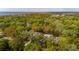 Neighborhood featuring homes nestled among lush green trees, providing a sense of privacy at 1409 Lieben Rd, Mount Pleasant, SC 29466