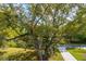 Eye-level view of a grand old tree with limbs spread across the sky and the ground at 1409 Lieben Rd, Mount Pleasant, SC 29466