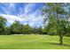 Lush golf course view with bright green grass, blue sky and trees in the background at 1603 Ventura Pl, Mount Pleasant, SC 29464