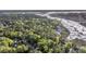 Aerial view showcasing waterfront homes, private docks, and serene waterways surrounded by lush landscapes at 2037 Shell Ring Cir, Mount Pleasant, SC 29466
