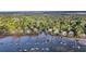Scenic aerial view of waterfront homes with private docks along a tranquil waterway surrounded by nature at 2037 Shell Ring Cir, Mount Pleasant, SC 29466