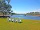 Scenic waterfront with lawn chairs overlooking a serene waterway under a clear blue sky, surrounded by lush greenery at 2037 Shell Ring Cir, Mount Pleasant, SC 29466