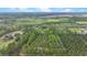Expansive aerial view of densely wooded acreage, perfect for nature lovers and seclusion at 2080 Sniders Hwy, Walterboro, SC 29488