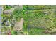 Detailed aerial view of a wooded lot, showcasing the natural beauty and lush greenery at 2080 Sniders Hwy, Walterboro, SC 29488