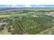 Expansive aerial view of densely wooded acreage, perfect for nature lovers and seclusion at 2080 Sniders Hwy, Walterboro, SC 29488