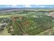 Aerial shot of land lot with boundary lines, highlighting natural setting and building opportunities at 2080 Sniders Hwy, Walterboro, SC 29488