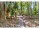 Serene walking path surrounded by lush greenery and trees provides peaceful escape at 2104 Royal Pine Dr, Seabrook Island, SC 29455