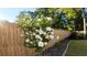 A vibrant hydrangea bush adds charm alongside a wooden fence, enhancing the yard's appeal at 217 7Th Ave, Mount Pleasant, SC 29464