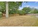 Large backyard featuring a wooden fence and mature tree at 315 Indigo Rd, Goose Creek, SC 29445