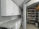 Organized pantry with white cabinetry and plenty of storage, ensuring a tidy and efficient space for all your essentials at 4869 Slans Island Rd, Hollywood, SC 29449