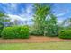 Lush backyard features a beautiful lawn, neatly arranged hedges, and shade trees at 505 Eastern Isle Ave, Summerville, SC 29486