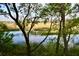 A tranquil backyard features lush trees, natural marshlands, and a serene water view, perfect for nature lovers at 642 Harbor Creek Pl # 21, Charleston, SC 29412
