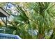 Beautiful lush yard with vibrant green palm trees and distant water views at 642 Harbor Creek Pl # 21, Charleston, SC 29412
