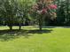 Lush front yard with flowering trees and green grass at 732 Gahagan Rd, Summerville, SC 29485