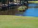 Scenic view of a pond adjacent to the golf course with a heron standing nearby at 754 Summerwind Cir, Edisto Island, SC 29438