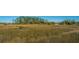 Expansive marshland view, showcasing the natural beauty of the surrounding landscape at 806 Kings Oak Court Ct # 7, Charleston, SC 29492
