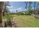Expansive grassy backyard with mature trees, offering privacy and natural beauty at 8551 Pope Landing Rd, Edisto Island, SC 29438