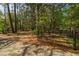 An iron gate leading to a lush, wooded property with mature trees and foliage at 8551 Pope Landing Rd, Edisto Island, SC 29438