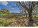Scenic marsh view features lush vegetation, mossy trees, and blue skies at 8551 Pope Landing Rd, Edisto Island, SC 29438