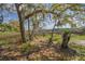 Picturesque view of marsh grasses and mature trees draped with Spanish moss at 8551 Pope Landing Rd, Edisto Island, SC 29438