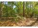 Scenic view of an iron-fenced property line with lush greenery and mature trees in the background at 8551 Pope Landing Rd, Edisto Island, SC 29438