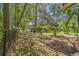 A picturesque yard with lush greenery, tall trees, and an iron fence surrounding the property at 8551 Pope Landing Rd, Edisto Island, SC 29438