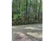 Overiew of the backyard at 1300 Park West Blvd # 516, Mount Pleasant, SC 29466
