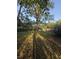 Spacious backyard with scattered trees, offering ample green space for gardening and recreation at 1633 Southwick Dr, Johns Island, SC 29455