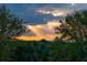 Tranquil sunset view through trees, offering a serene and private ambiance at 2114 Pettigrew St, Sullivans Island, SC 29482