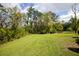 Expansive backyard with lush green grass and mature trees on a sunny day at 2308 Watchtower Ln, Charleston, SC 29414