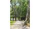 Dog park entrance gate surrounded by beautiful trees and greenery at 2308 Watchtower Ln, Charleston, SC 29414