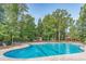 Large community pool surrounded by lounge chairs and lush trees, offering a serene recreational space at 2308 Watchtower Ln, Charleston, SC 29414