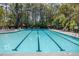 Large community pool with clearly marked lanes for swimming, bordered by lounge chairs and mature trees at 2308 Watchtower Ln, Charleston, SC 29414