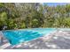 Spacious community pool with clear blue water, surrounded by lounge chairs for relaxation at 2308 Watchtower Ln, Charleston, SC 29414