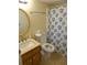 Bathroom with a sink, mirror, toilet, and a shower curtain with turtle designs at 237 Driftwood Ln, Edisto Island, SC 29438
