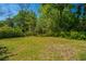 Expansive backyard surrounded by lush greenery, offering privacy and a serene atmosphere at 32 Rosedale Dr, Charleston, SC 29407