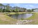 Picturesque pond surrounded by mature trees and lush greenery, creating a tranquil setting at 3372 Billings St, Mount Pleasant, SC 29466