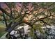 Beautiful lakeside view with a majestic tree, showcasing the natural beauty of the property at 3610 Legareville Rd, Johns Island, SC 29455
