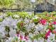 Beautiful landscaping surrounds the home, featuring vibrant pink and white flowers at 3610 Legareville Rd, Johns Island, SC 29455
