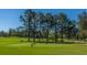A golf course scene with manicured grass, tall trees, and a bright blue sky, inviting players to a relaxing round at 4403 Wild Thicket Ln, North Charleston, SC 29420