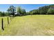 Fenced backyard with lush green lawn, outbuilding, and mature trees at 6935 Hickorynut Ln, Ravenel, SC 29470