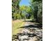 Driveway with trees and dense vegetation at 6935 Hickorynut Ln, Ravenel, SC 29470