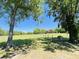 Expansive lawn with mature trees leads to a charming log cabin home at 6935 Hickorynut Ln, Ravenel, SC 29470