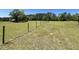 Spacious grassy field enclosed by a wire fence and trees at 6935 Hickorynut Ln, Ravenel, SC 29470